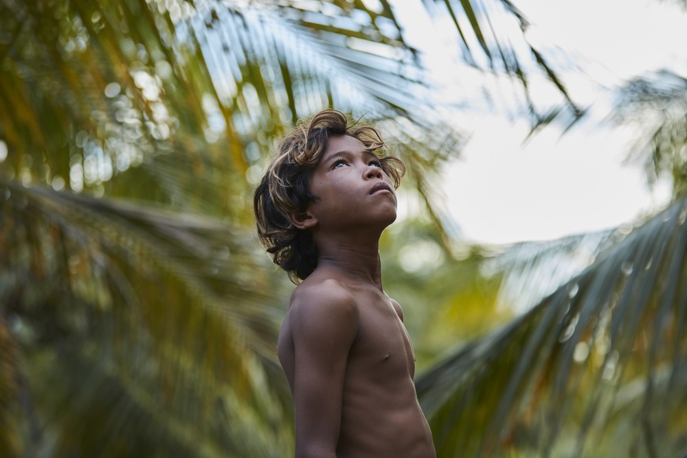 Terra Manglar niño image