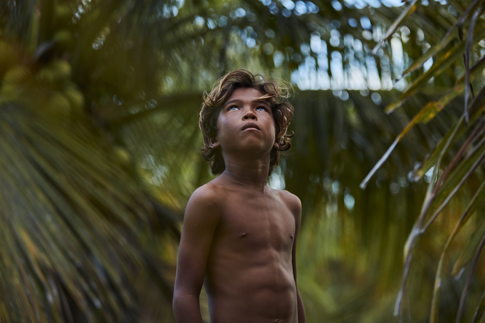 Terra Manglar niño image