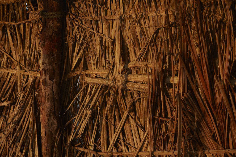 Terra Manglar KITE image