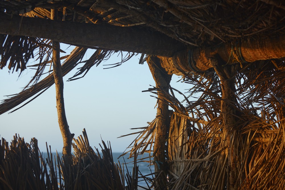 Terra Manglar KITE image